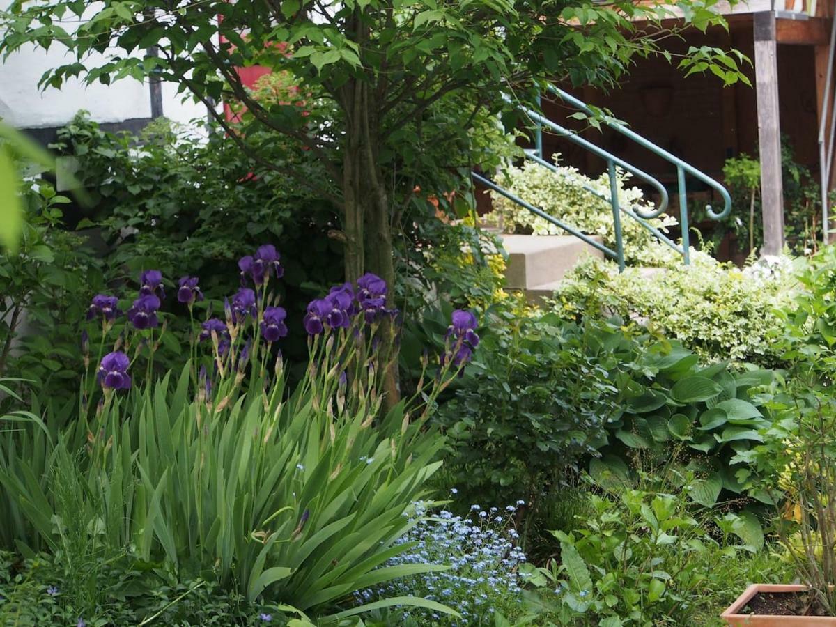 Ferienhaus Im Fachwerkhof 'Haus In Bewegung' Seelscheid エクステリア 写真